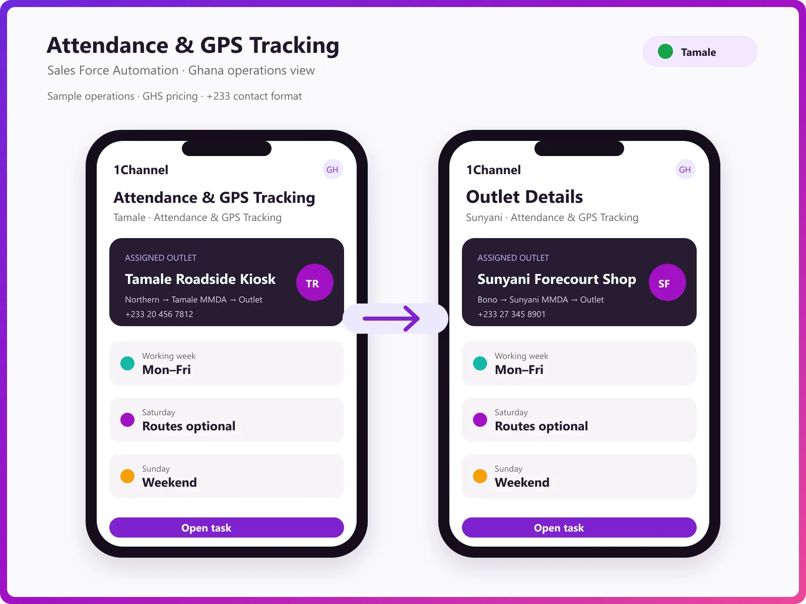 SFA mobile app dashboard with attendance and beat plan